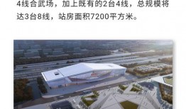 闪闪最新爆料新闻视频,闪闪最新爆料视频深度解析